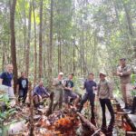 Rutgers University Researchers Visit Palangka Raya University’s Peat Forest Natural Laboratory